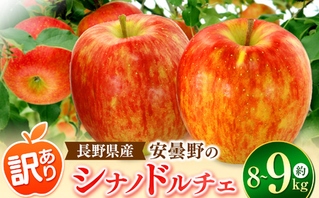*【2025年先行予約】訳あり シナノドルチェ 約8～9kg ｜東印平林農園  リンゴ りんご 林檎 果物 フルーツ 果実 果汁 シナノドルチェ しなのドルチェ 家庭用 わけあり 訳アリ 長野県 松川村