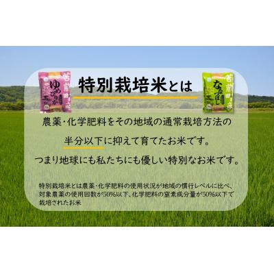 ふるさと納税 苫前町 【令和7年産】特別栽培米ゆめぴりか・ななつぼし食べ比べセット |  | 03