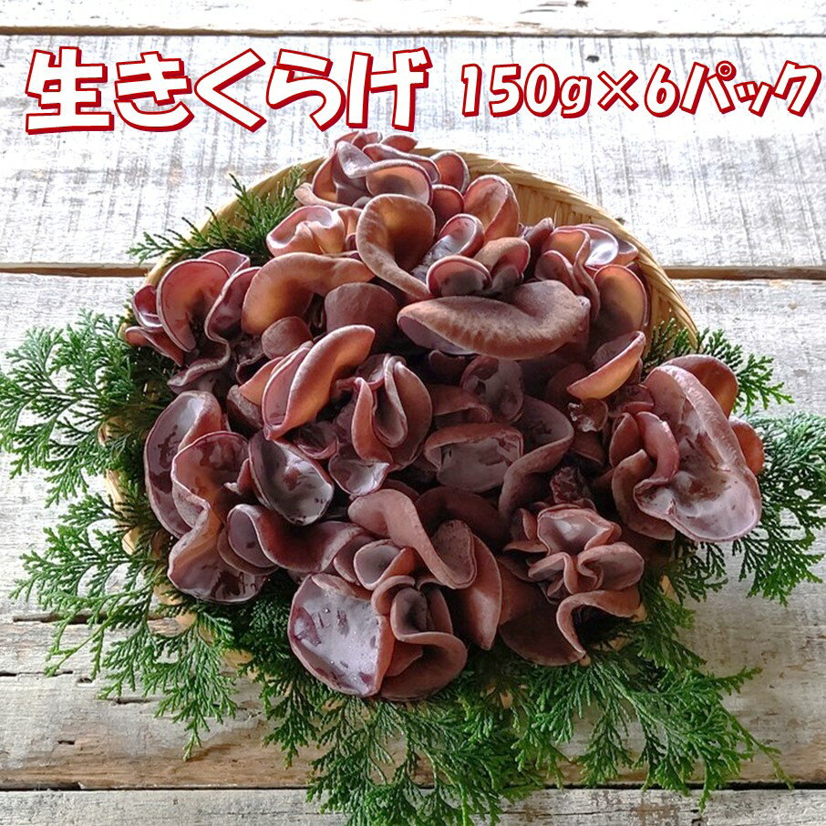 【ふるさと納税】【7月上旬から発送開始】純国産 生きくらげ900g（150g×6パック）