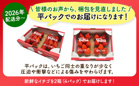 【訳あり】とちおとめ 320g×4パック 約1.2kg グランデサイズ｜果物 フルーツ イチゴ 苺 グランデ 産地直送 大粒 甘い 数量限定 栃木県 壬生町 ※2027年1月～発送