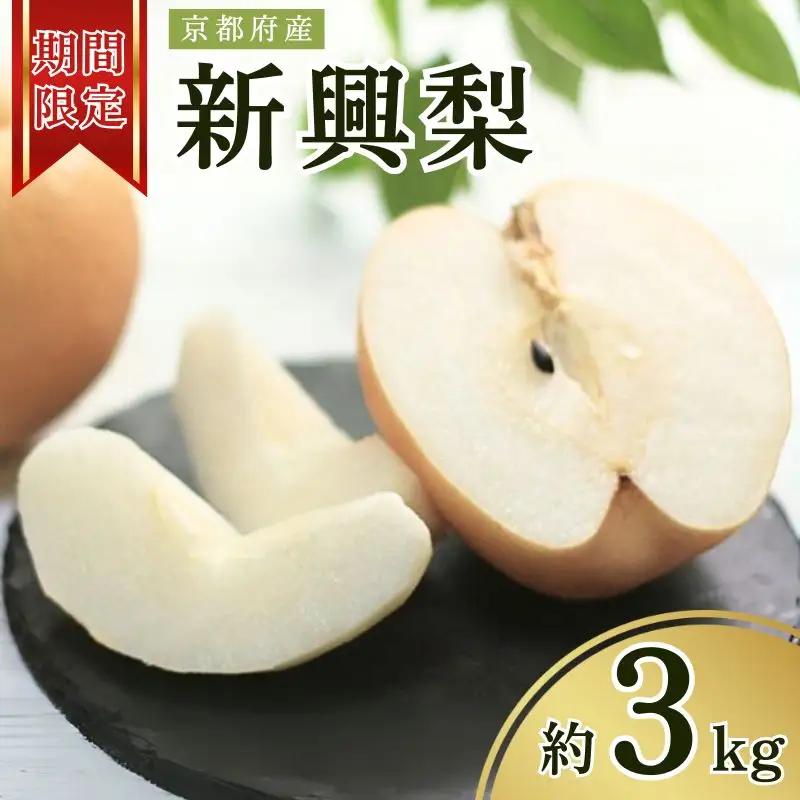 【先行予約 数量限定】 2026年度産 新興 梨 約3kg (5～8玉入り) 先行予約