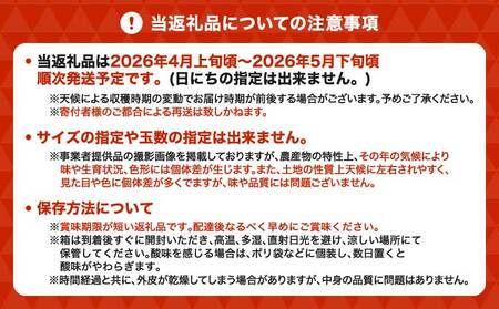 先行予約 ジューシーオレンジ 約10kg（20玉前後） 2026年4月上旬～2026年5月下旬頃発送予定