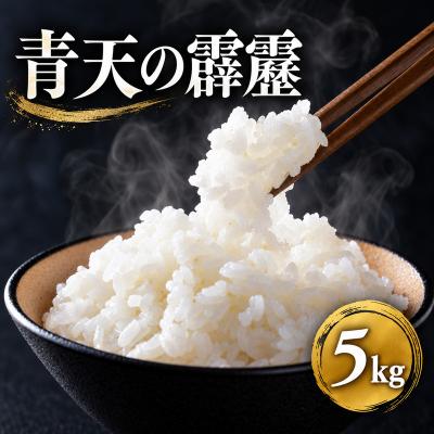 ふるさと納税 平川市 米【2月発送開始】青天の霹靂 白米5kg 青森県産 特Aブランド米