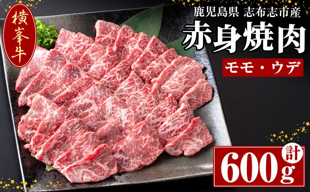 
鹿児島県志布志市産(国産交雑種) 横峯牛の赤身焼肉(600g×1P) b0-165
