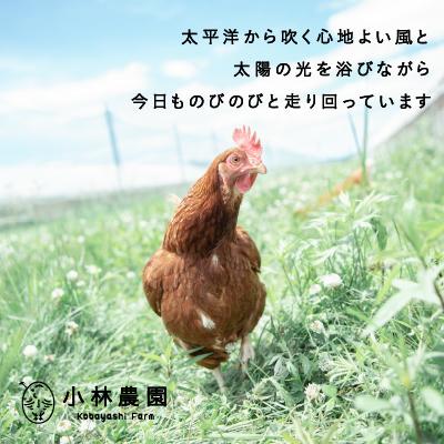 ふるさと納税 厚真町 <平飼い養鶏の小林農園>ありがとう!スモークチキン【S-008】 |  | 01