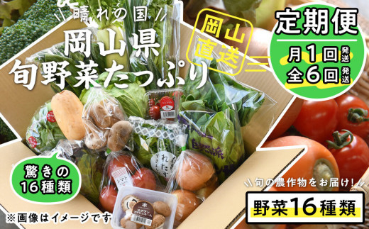 【定期便】晴れの国おかやま　旬野菜たっぷり16種〈月1回・全6回〉【定期便 野菜 ほうれん草 小松菜 水菜 春菊 青ネギ 白ネギ 白菜 大根 人参 ごぼう 玉ねぎ 蓮根 おまかせ 岡山県 おすすめ 人気】