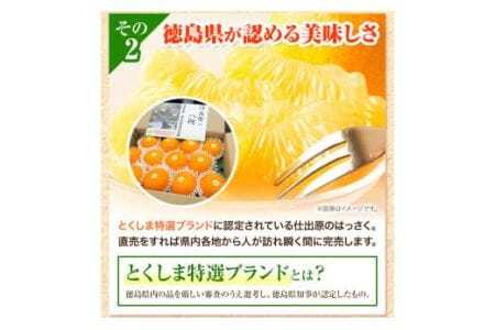 ＜ 先行予約 ＞ 八朔 はっさく 約3kg 7個 《2026年2月上旬‐2026月3月上旬頃出荷》仕出原八朔生産組合 果物 くだもの フルーツ 特選 ゼリー ジュース ピール 徳島県 美馬市 st-p