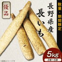 【ふるさと納税】2301 長野県産 長いも 5kg（3本～5本）　優品