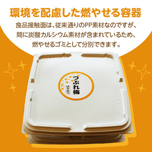 紀州南高梅　はちみつ漬つぶれ梅600ｇ×2