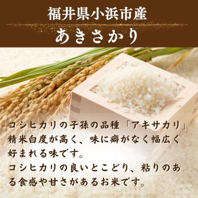 ふるさと納税 小浜市 令和8年産【新米】福井県産あきさかり　一等米　白米10kg |  | 01