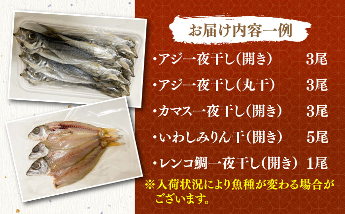 地魚 田舎干物セット 5種《壱岐市》【魚助】 干物 ひもの 海産物 朝食 海鮮 アジ あじ カマス イワシ アジの開き [JFX005]