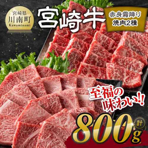 宮崎牛赤身霜降り焼肉2種 800g【肉 牛肉 国産 宮崎県産 宮崎牛 黒毛和牛 和牛 焼肉 BBQ 4等級  A4ランク 肩ロース ウデ モモ E11124】