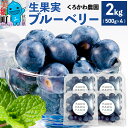 【ふるさと納税】くろかわ農園 ブルーベリー 2kg（500g×4パック）