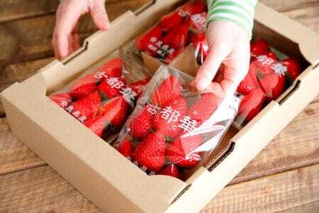 古都華 レギュラー4パック 約1kg(250g×4pc)　15-084