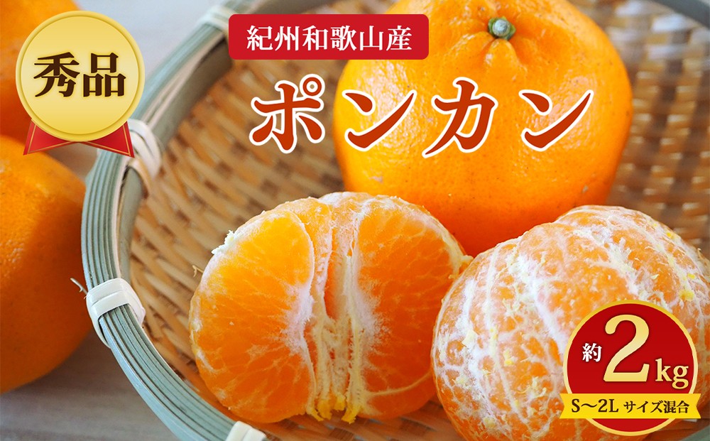 
                  【先行予約】【秀品】紀州和歌山産 ポンカン 約2kg（箱込み）S～2L サイズ混合
                