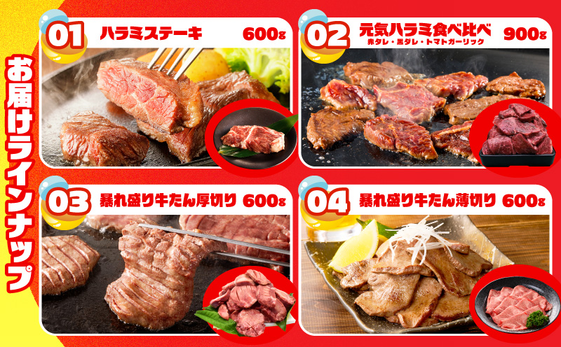 【期間限定】肉の泉佐野 ガチャ（寄附10,000円コース）【牛肉 焼肉 牛タン ハラミ カルビ BBQ ハンバーグ お楽しみ 大阪 泉佐野 大阪府 泉佐野市】