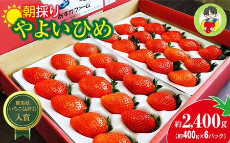 いちご やよいひめ 約400g×6パック 計2.4kg