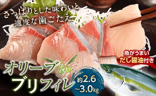
                  超新鮮・オリーブブリフィレ約2.6～3.0kg 魚がうまいだし醤油付き （11月中旬～12月中旬頃発送） ぶり 鰤 おかず おつまみ 肴 ご当地 食品 名産 四国 【沖縄配送不可】 F5J-1192
                