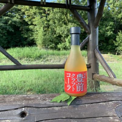 ふるさと納税 豊前市 豊前クラフトコーラ300ml3本セット |  | 01