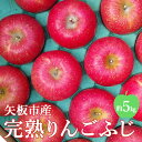 【ふるさと納税】[先行予約／数量限定] 矢板市産完熟りんご ふじ 5kg箱【11月下旬より順次お届け】｜リンゴ 林檎 フルーツ 果実 果物 スイーツ 産地直送 栃木県産 国産 [0496]