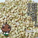 【ふるさと納税】北海道 そばの実 1kg×3袋 蕎麦 ソバ そば 雑穀 国産 グルテンフリー 食物繊維 ビタミン 高タンパク カテキン ミネラル スーパーフード 健康 お取り寄せ 霧立そば製粉 送料無料　 そば