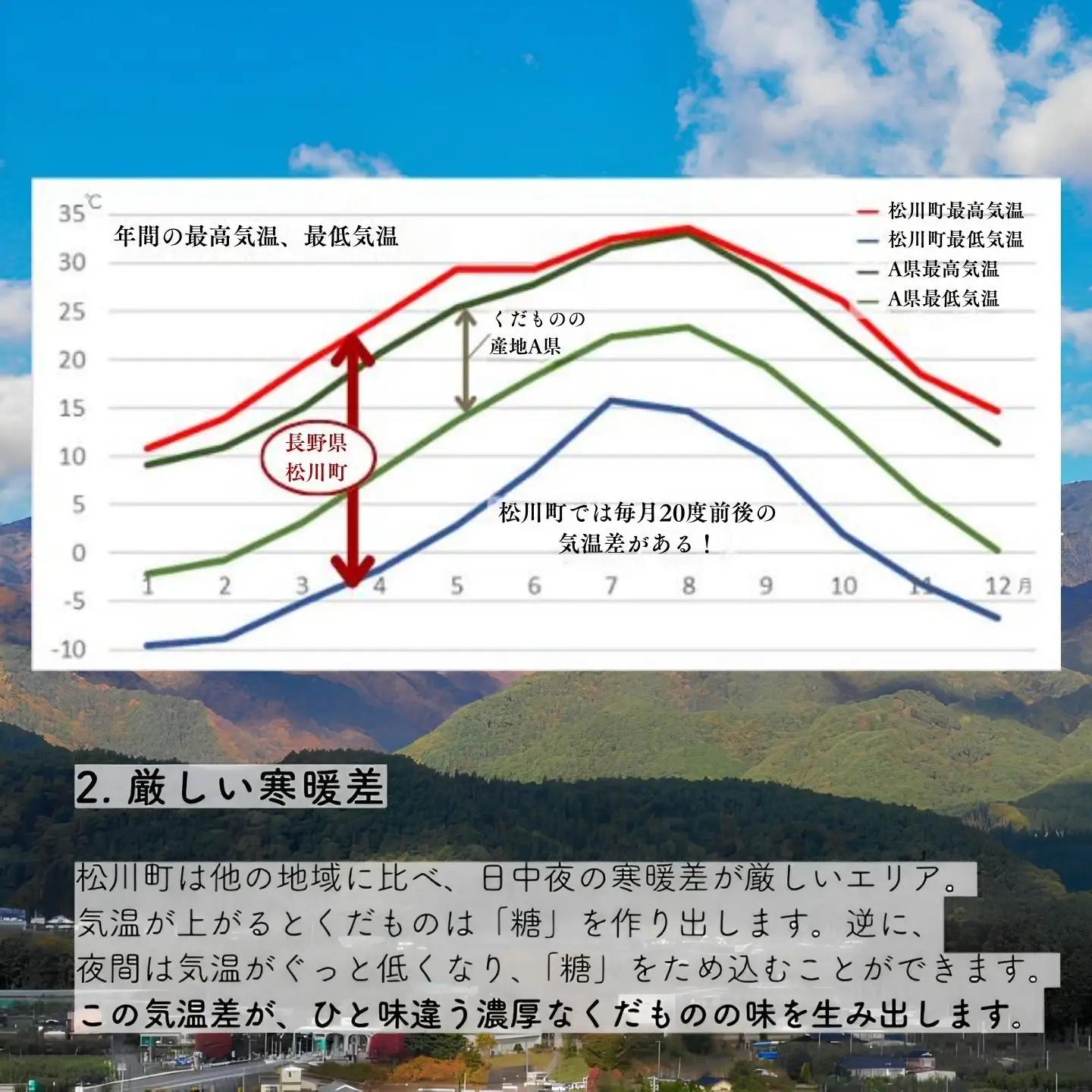 KW12　梨 にっこり 贈答 約5kg（6～9玉） 長野県松川町産 / 2026年11月上旬頃～配送予定//長野県 南信州 松川町産 梨 なし 果物 くだもの にっこり梨 人気 和梨 大玉 贈答