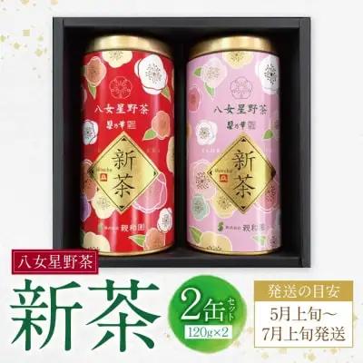 Y26-18 新茶 八女星野茶 120g×2本
