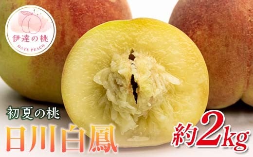 
            福島県産 日川白鳳 2kg 2025年7月上旬～2025年7月中旬発送 2025年出荷分 先行予約 予約 伊達の桃 小玉 桃 もも モモ 果物 くだもの フルーツ 国産 食品 F21C-023
          