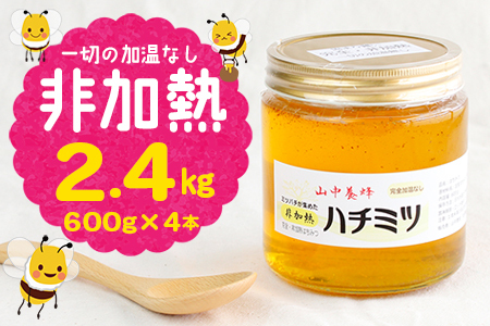 【自然のまま】富津産ハチミツ600g×4本 計2.4kg【完全非加熱】