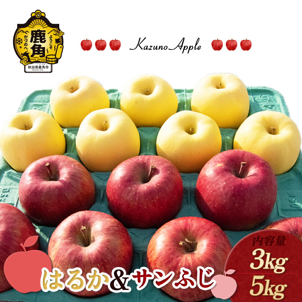 【ふるさと納税】《 先行予約 》 りんご 鹿角りんご 「 はるか ＆ サンふじ 」選べる 3kg ／ 5kg リンゴ 林檎 みずみずしい 果汁 リンゴ 完熟 蜜入り 旬 県産りんご お中元 お歳暮 贈り物 お見舞い グルメ ギフト 故郷 秋田 あきた 鹿角市 鹿角 送料無料 【佐藤秀果園】