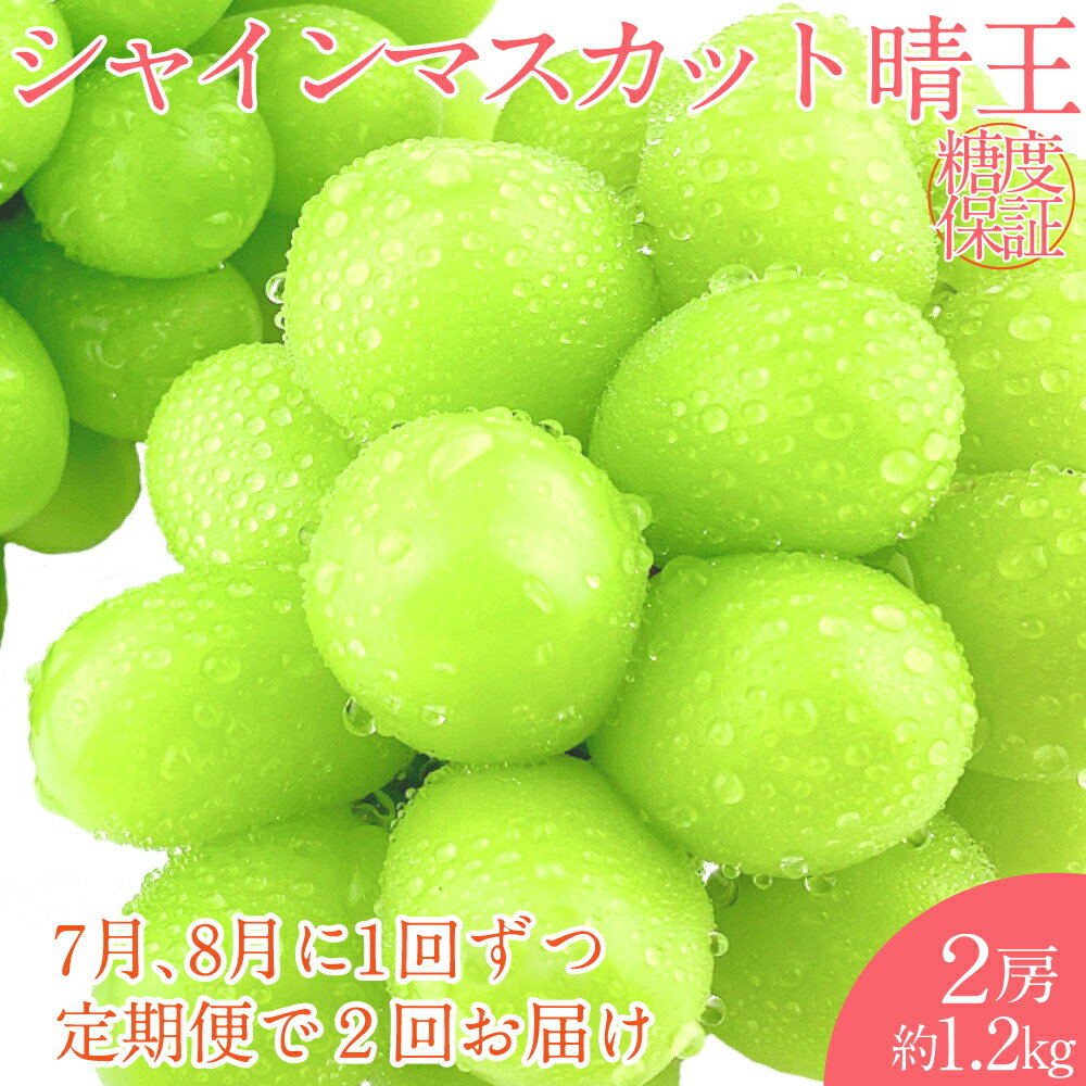 【ふるさと納税】シャインマスカット 晴王 2房 約1.2kg 岡山県産 種無し 皮ごと食べる みずみずしい 甘い フレッシュ 温室栽培 瀬戸内 晴れの国 おかやま 果物大国 満天フルーツ ぶどう 葡萄 倉敷市 送料無料 【先行予約：2026年7月上旬～8月下旬発送予定 2回定期便】