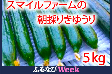 【ふるなびWEEK対象】朝採りきゆうり5kg FN-Limited【FM02U2-FN】