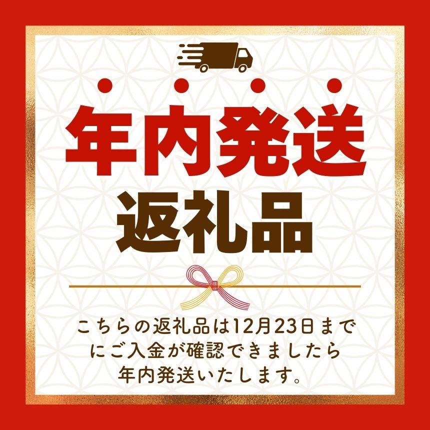 【定期便3回】ココイチ カレーAセット（ビーフ・ポーク各3個） (毎月お届け）｜カレー CoCo壱番屋 常温保存 非常食 簡単 時短 自宅用 キャンプ  ふるさと納税