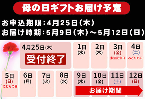 母の日ギフト お母さんありがとう！カーネーションのブーケ お祝い 記念日 フラワーギフト