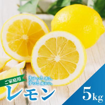 ふるさと納税 松山市 【先行予約】2027年2月上旬より発送 イエローレモン 約5kg 家庭用 防腐剤、ワックス不使用