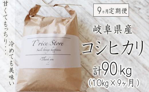 【令和6年産】新米 【９カ月定期便】岐阜県産コシヒカリ 10kg(合計９０kg)