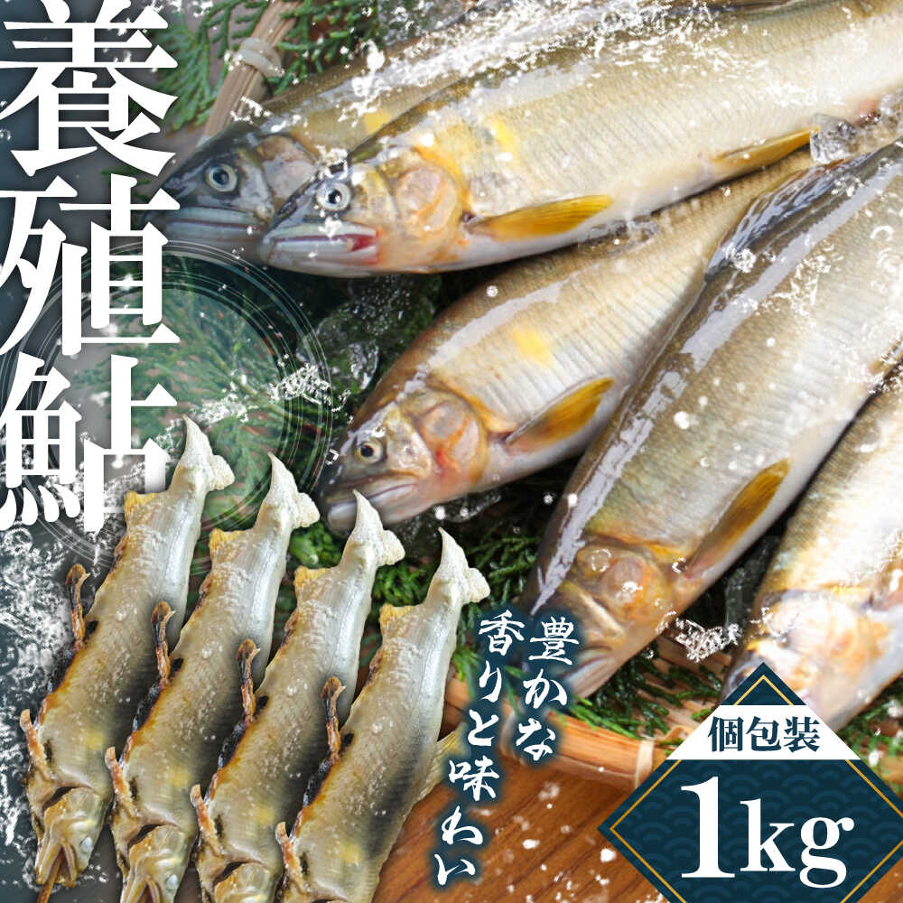 【ふるさと納税】日田産養殖鮎(冷凍)1kg　日田市 / 日田漁業協同組合 魚 あゆ アユ[ARFJ003]