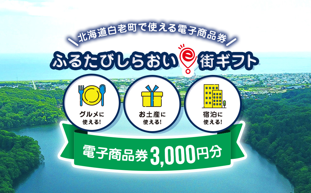 【ANAの旅先納税】ふるたびしらおいe街ギフト　3,000円分 EG002