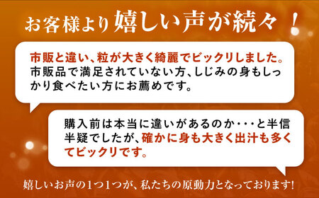 【全6回定期便】産地直送！宍道湖産 冷凍大和しじみLサイズ1kg(500g×2) 砂抜き処理済 島根県松江市/りすたむMatsue[ALDE023]