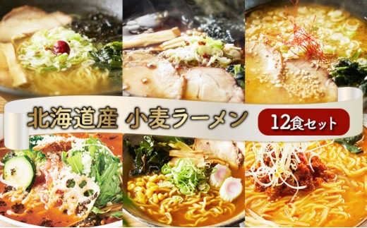 
                  【6種の味が楽しめる】ラーメン 北海道産小麦の生ラーメン 12食セット (6種×2食) | ラーメン らーめん 拉麺 中華そば ramen 食べ比べ 詰め合わせ ご当地 みそ しょうゆ しお カレー トマト お取り寄せ グルメ 冷蔵 望月製麺所
                