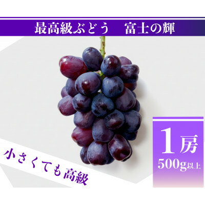 【ふるさと納税】【2026年先行予約】富士の輝 計500g 1房 山梨県産【配送不可地域：離島】【1694815】