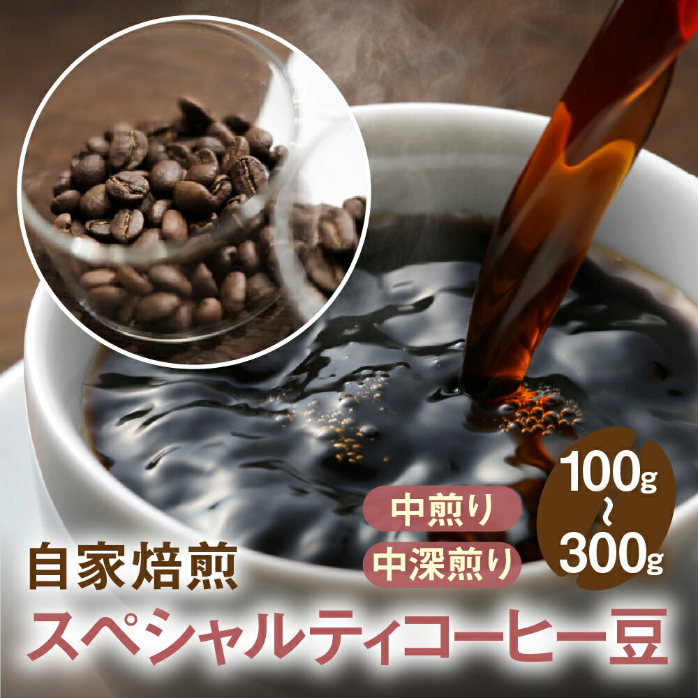 【ふるさと納税】自家焙煎コーヒー豆（中煎り　中深煎り） 選べる内容量　 100g 200g 300g 珈琲 飲料 珈琲豆 G0449 5000円 8000円 10000円