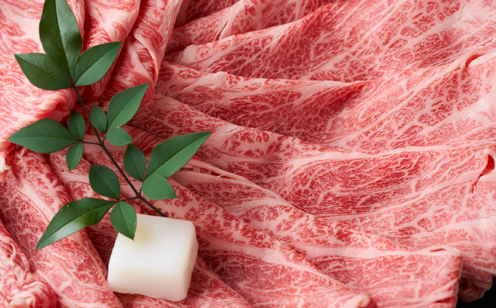 【12か月定期便】【厳選部位】【A4～A5】佐賀牛サーロインしゃぶしゃぶすき焼き用 1kg(500g×2P)×12回【肉 牛肉 ブランド牛 黒毛和牛 お祝い ご褒美 ふるさと納税】(H112210)