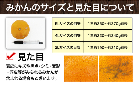 ご家庭用 熊本 大粒みかん 約5kg (3L～5Lサイズ)大玉 みかん 先行予約 熊本 ちょっと 訳あり 傷 たっぷり 熊本県産 熊本県 期間限定 フルーツ 旬 柑橘 長洲町 大粒みかん《2025年1