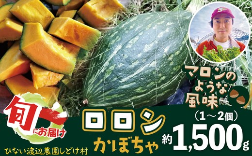 カボチャ 旨味がトロけるロロンで幸せな一時を 1500g　40P3225 / 東北 秋田 大館 野菜 新鮮 農産物 農家 かぼちゃ カボチャ ロロン ろろん 農家直送 シチュー プリン