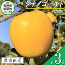 【ふるさと納税】 りんご シナノゴールド 家庭用 3kg ファームトヤ 沖縄県への配送不可 令和6年度収穫分 長野県 飯綱町 〔 信州 果物 フルーツ リンゴ 林檎 長野 11000円 予約 農家直送 〕発送時期：2024年11月中旬～2024年12月下旬 {**}