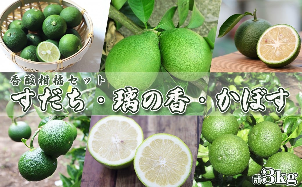 
            【令和7年9月下旬発送／先行予約】刈込園芸の香酸柑橘『かぼす・すだち・璃の香』計３kg　[0010-0276]
          