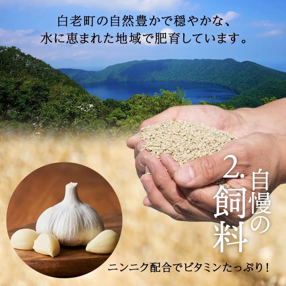 【定期便 12カ月】北海道産 白老豚 モモ スライス 400g×６パック BV063