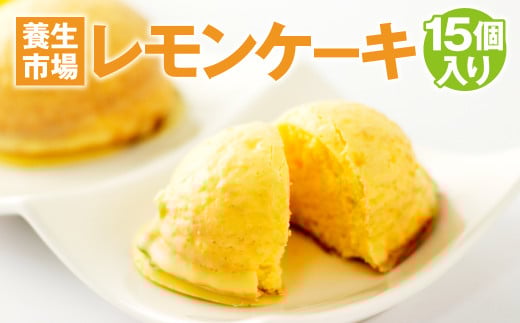 レモン ケーキ 15個入り 計750g 菓子 お菓子 スイーツ  【養生市場】【90日以内に出荷予定（土日祝除く）】