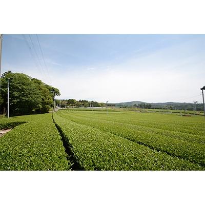 ふるさと納税 沼津市 【特許庁実用新案登録静岡県経営革新承認】あしたか山の茶葉が詰まった茶葉まくら【2層構造】 |  | 02